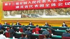 �����-(�й�)��������,��������