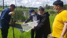 �����-(�й�)��������,��������