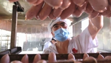 �����-(�й�)��������,��������