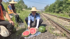 �����-(�й�)��������,��������