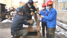 �����-(�й�)��������,��������