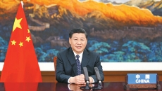 �����-(�й�)��������,��������