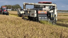 �����-(�й�)��������,��������