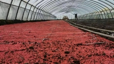 �����-(�й�)��������,��������