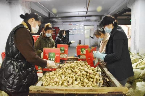 ΢ͼƬ_20221117093709