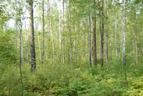 ΢��ͼƬ_20230409181018