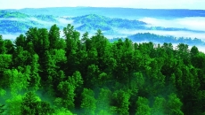 �����-(�й�)��������,��������