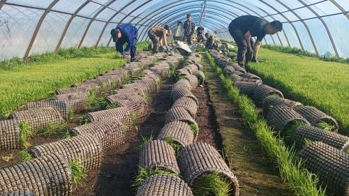 5.16���ɹ�ó-2