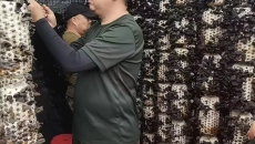 �����-(�й�)��������,��������