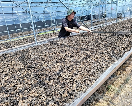 ���ɹ�ó��ľ��-2