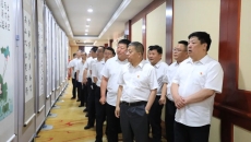 �����-(�й�)��������,��������