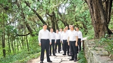 �����-(�й�)��������,��������