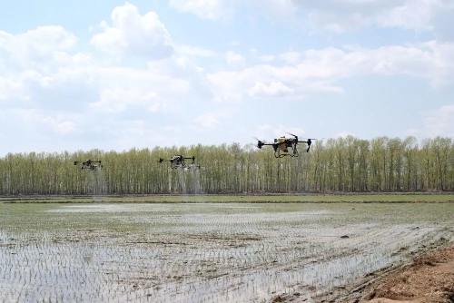 ΢ͼƬ_20231017221352