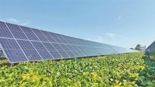 ΢��ͼƬ_20231105003901