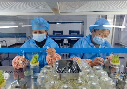 ΢ͼƬ_20240208181201