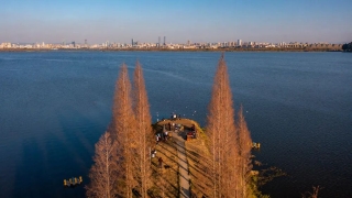 ΢ÐÅͼƬ_20240208181221 ΢ÐÅͼƬ_20240208181221