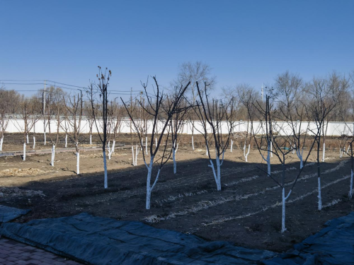 ΢��ͼƬ_20240402192040