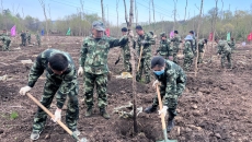 �����-(�й�)��������,��������