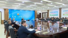 �����-(�й�)��������,��������