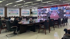 �����-(�й�)��������,��������