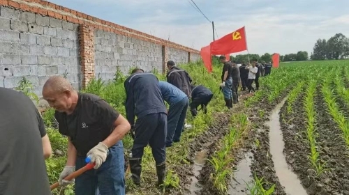 ΢ͼƬ_20250706204227